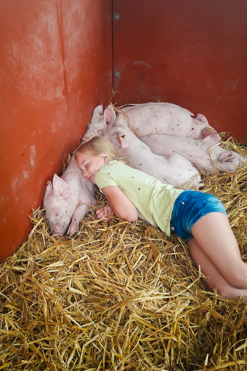 Biggetjes knuffelen BankhoeveVlees